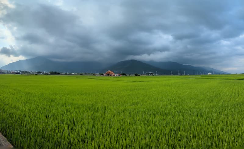 Taiwan Day 5 – Ruisui to Chishang