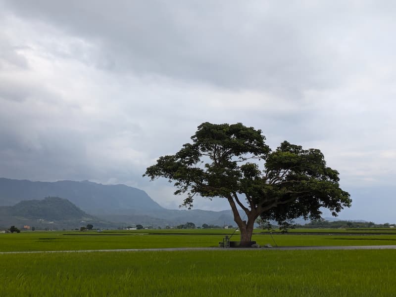 Taiwan Day 6 – Chishang to Taitung